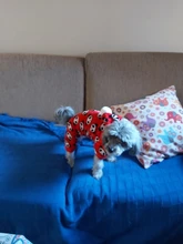 La mascota de abrigos para gato chaqueta de lana caliente, perro ropa para perros pequeños perros Chihuahua ropa de Yorkshire ropa de abrigo para perros