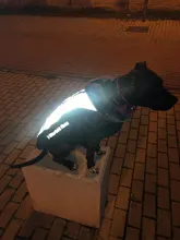 Pet-Dog-Clothes Clothing Walking-Harness Dogs Outdoor Waterproof Large Winter Medium