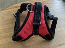 [TAILUP] Envío gratis  productos para mascotas, arnés de perro grande k9, Collar brillante Led para cachorros, chaleco para mascotas, accesorios para mascotas, Chihuahua, Dropship