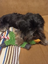 Perro de juguete duradera lindo papá pato haciendo sonido perro de peluche juguetes masticables para cachorros formación juguetes para la dentición para pequeños perros mediano
