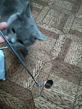 Mantenimiento de coche espejo de inspección Universal plegable telescópica Reflector de chasis Espejo de inspección coche herramienta de inspección