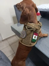 Dog-Harness Loop Dog-Molle-Vest Working Tactical with 2-Metal Buckle Hook Clip Handle