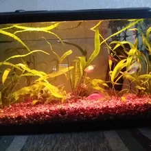 Lighting Aquarium-Light Plant-Lamp Fish-Tank-Light Underwater-Fish-Lamp LED Waterproof