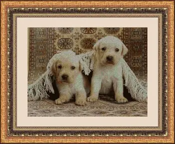 

Cross Stitch Kit PANDATHREAD Novelties 34608