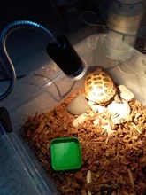 Conjunto de lámpara para reptiles UVA + UVB 3,0, con soporte de bombilla con Clip y termómetro, higrómetro, Tortuga, Kit de lámpara de calentamiento de base