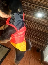 Coat Vest Jacket Puppy Outfit Pet-Dog Yorkie Warm Chihuahua Winter for Windproof Padded