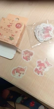 45 unids/pack de Fox zorro lindo y Hojas de arce de la etiqueta engomada de papel artesanías adhesivas palo etiqueta de la computadora portátil DIY decoración niños regalo de papelería