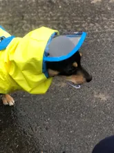 Jumpsuit Raincoat Pet-Cloak Teddy Waterproof-Jacket HOOPET Dogs Chihuahua for Small Cat