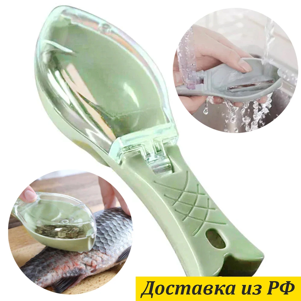 Fish Cleaning Scales With Container Fish Brush Removal Scales Cleaning