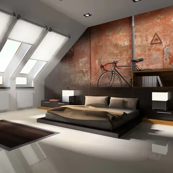 

Wall mural-bicycle-350x270 cm