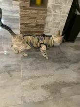 Dog Vest Pet-Supplies Down-Jacket Puppy Chihuahua Winter Windproof Small Warm Apparel