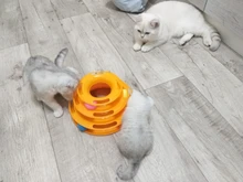 3 Levels Pet Cat Toy Tower Tracks Disc Interacitve Cat Toys Ball Training Amusement Plate