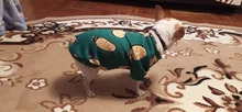 Ropa para mascotas, abrigo estampado bonito para perros pequeños, gatos, Chihuahua, Shih, Tzu, Primavera