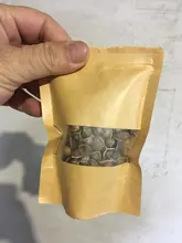 Moringa Oleifera de alta calidad