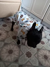 Clothing Bulldog-Clothes Corgi Raincoat Poodle Pug Bichon French Waterproof for Schnauzer