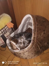 Cat Bed Nest Kennel Dog-Beds Cat-House Princess-Bed Dogs Washable Small Warm for Pet-Dog