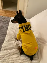 Dog Hoodies Jacket Costume Coat French Bulldog Chihuahua Winter for Pets-Clothing