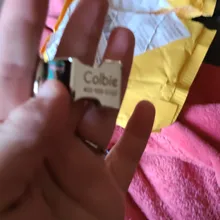 Collar de nailon para perro, personalizado con placa de etiqueta de identificación grabada para mascota, reflectante, perros pequeños, medianos y grandes