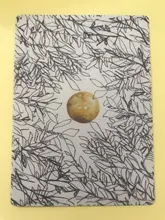 Oráculo-cartas de Tarot, guía, adivinación, destino, oráculo, fiesta, juego de mesa, instrucciones en PDF