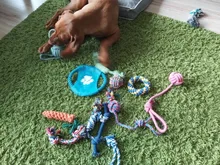 Toy-Sets Chew-Rope-Toys Large-Dog Teeth Big Dogs Outdoor for 12pcs Juguete Perros Para