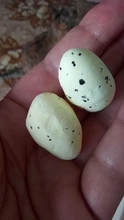 Kids Gift Craft Bird-Pigeon-Eggs Easter-Decoration Favor Painted Happy 3cm-Foam DIY Party