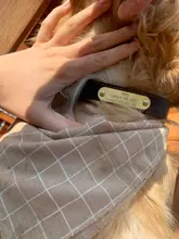 Leash-Set Pet-Collar Free-Engraved-Nameplate Dogs Small Custom Personalized for Medium