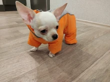 Winter Overalls for Dogs Warm Waterproof Pet Jumpsuit Trousers Male/ Female Dog Reflective