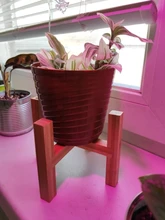 Rack Shelf Trays Bonsai-Holder Planter Flower-Pot Wood Garden Indoor-Display Home Strong