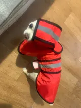 Jumpsuit Hoodies Pet-Coat Rain-Jacket Reflective French-Bulldog-S-2xl Waterproof Medium