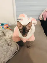 Cute Rabbit Design Dog Hoodie Winter Pet Dog Clothes For Dogs Coat Jacket Cotton Ropa