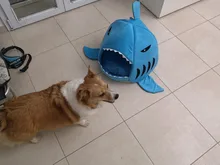 Bed Product-Items Dogs-Tent Dog-House Sleeping-Bag Shark Small Pet-Cushion Large Dropship