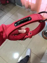 Collar Pet-Products Puppy Engraved French Bulldog Small Dogs Custom Personalized Pug