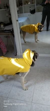 Impermeable para perro mascota impermeable perros grandes ropa de abrigo al aire libre chaqueta de lluvia reflectante Golden Retriever Labrador Husky gran poncho