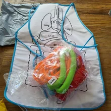 Delantal de anatomía de órganos del cuerpo humano para niños, juguetes educativos, ayuda para enseñanza en casa preescolar, 2020