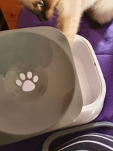 Dispenser Cat-Bowl Pet-Water-Fountain No-Spill-Water-Feeder Floating-Not-Wetting Portable