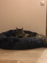 DEKO-camas supersuaves para perros, cojín redondo mullidas de gato, esterilla cálida y cómoda para dormir, sofá lavable, suministros para cachorros