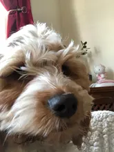 Lote de 20 unidades de anillos de piedra Natural Vintage para mujer, 5-6MM, abalorio de piedra con joyas anillos, Unisex, venta al por mayor