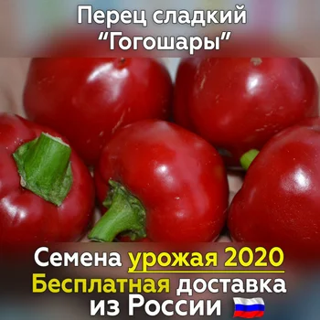 

Seeds of sweet pepper gogobola for planting, fresh crop, proven grade. Best vegetables for you!