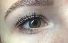 D orella-lentillas de colores para cosméticos para ojos, lentes de contacto de colores, serie IRIS, 1 par (2 uds.)