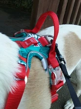 Truelove-arnés frontal de nailon para perro, chaleco sin tirones, arnés de seguridad ajustable suave para perro, pequeño, grande, para correr, entrenamiento, Bulldog francés