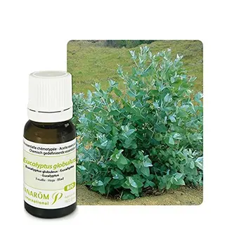 

Pranarôm, essential oil (Eucalyptus)-10 ml.