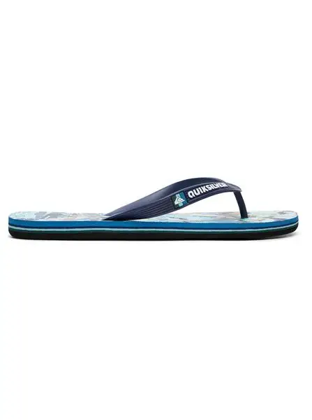 Стринги Quiksilver для мужчин Molokai Feelin Fine