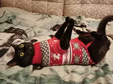 Cute Cat Sweater Costume Winter Warm Pet Clothes Cat Clothing for Cats Katten Kedi Giyim