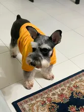 Gafas de sol fotocromáticas para pesca, lentes polarizadas con Clip para pescar, con visión nocturna