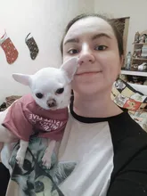 Letras de moda impreso Bulldog francés Camisa de algodón elástico ropa de perro mascota para Yorkshire Chihuahua verano bombero esposa camiseta bombero novia fuego emblema bombero Don bombero Cruz de traje