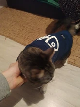 Invierno ropa para gato mascotas ropa de cachorros y perros sudaderas con capucha para pequeño mediano perros gato gatito Kitty trajes gatos abrigos chaquetas trajes