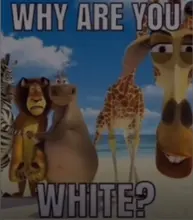 Juego de ratones de Gato para mascotas, tienda de campaña con campana de juguete de inteligencia con 9 agujeros, túnel de juego para gatos, ratón abatible, juguetes para mantener a los gatitos activos