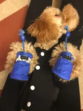 Uds barato para mascotas zapatos cálido antideslizante impermeable invierno verano calcetines York Chihuahua perros botas gato calcetines de pata de animal doméstico de atención