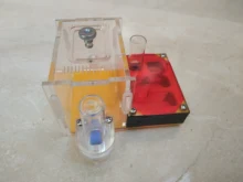 Mini granja de hormigas acrílicas para escalada, nido de hormigas para Taller, rayas horizontales, para caza