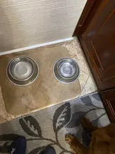 Seat-Bed Diaper-Mat Urine Absorbent Training-Pad Washable Dog-Pet Waterproof Protect